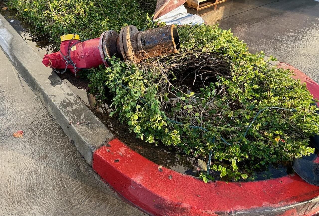 Fire Hydrants repair and Maintenance